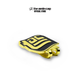 Gold Pin