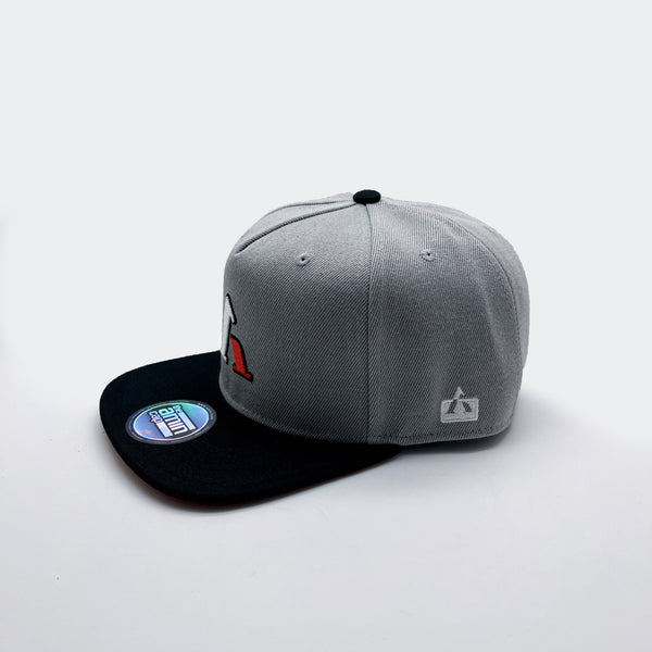 Classic Snapback Blaze