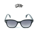 Navigator Sunglasses