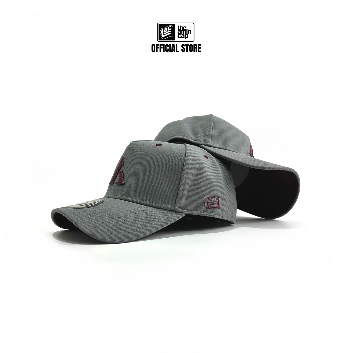 A Frame Snapback Ash